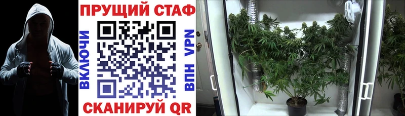 Наркошоп купить COCAIN  СОЛЬ  Псилоцибиновые грибы  МЕФ  ГАШ  Амфетамин  Дальнегорск