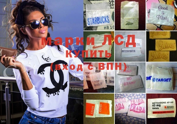 дмт Лагань