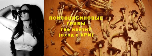 дмт Лагань