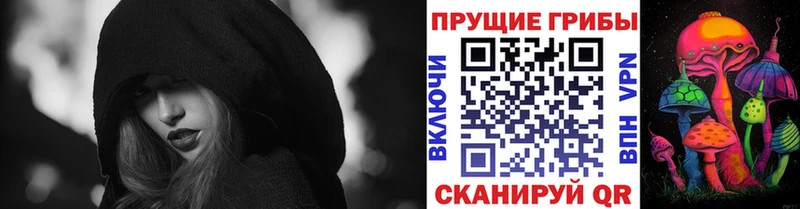 Купить где  Дальнегорск  Псилоцибиновые грибы ЛСД 